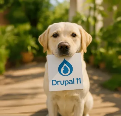 Fröhlicher-labrador-mit-drupal-11-box